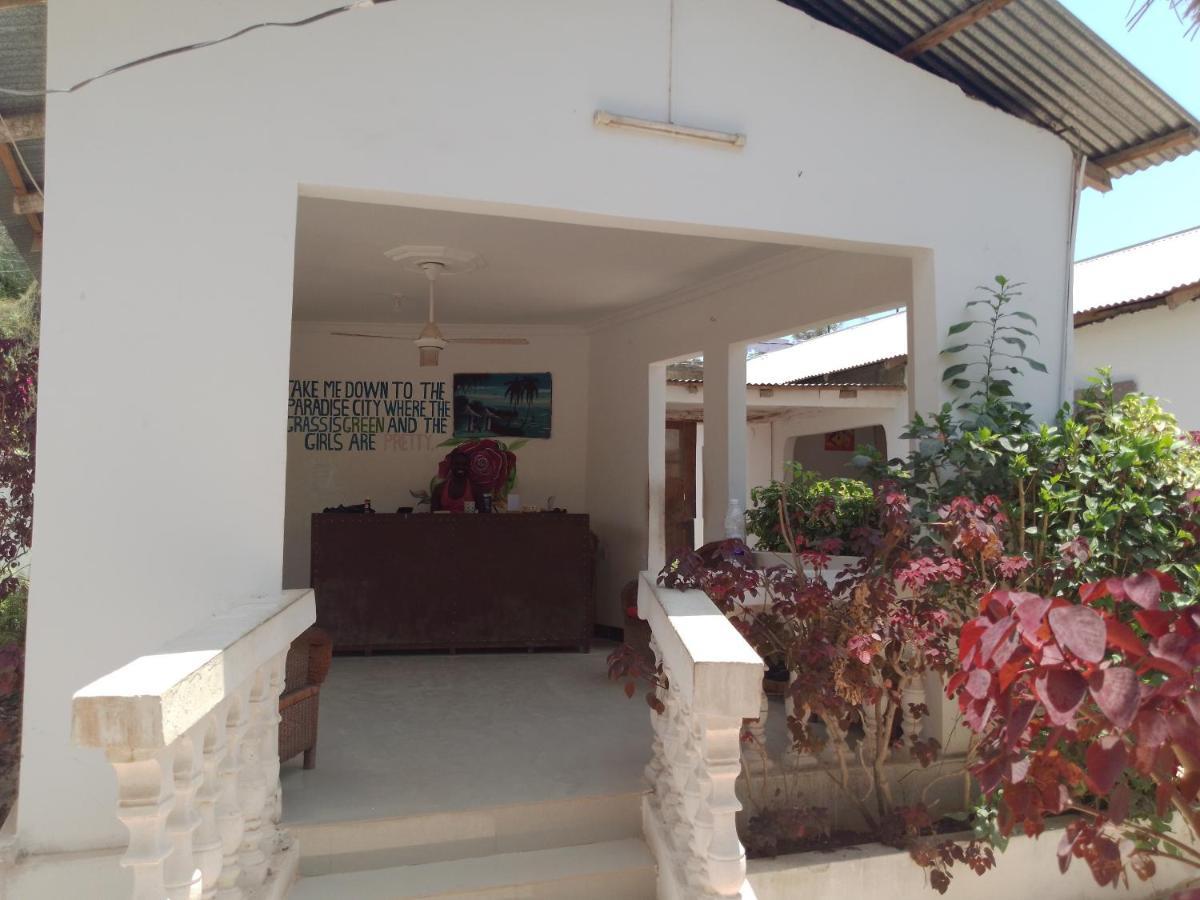 H & H Bungalows Nungwi Eksteriør bilde