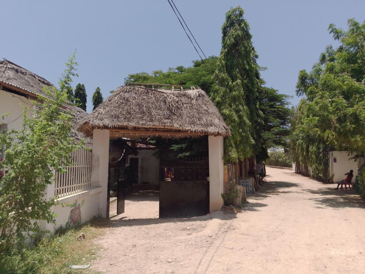 H & H Bungalows Nungwi Eksteriør bilde