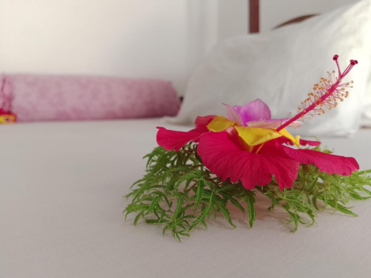 H & H Bungalows Nungwi Eksteriør bilde