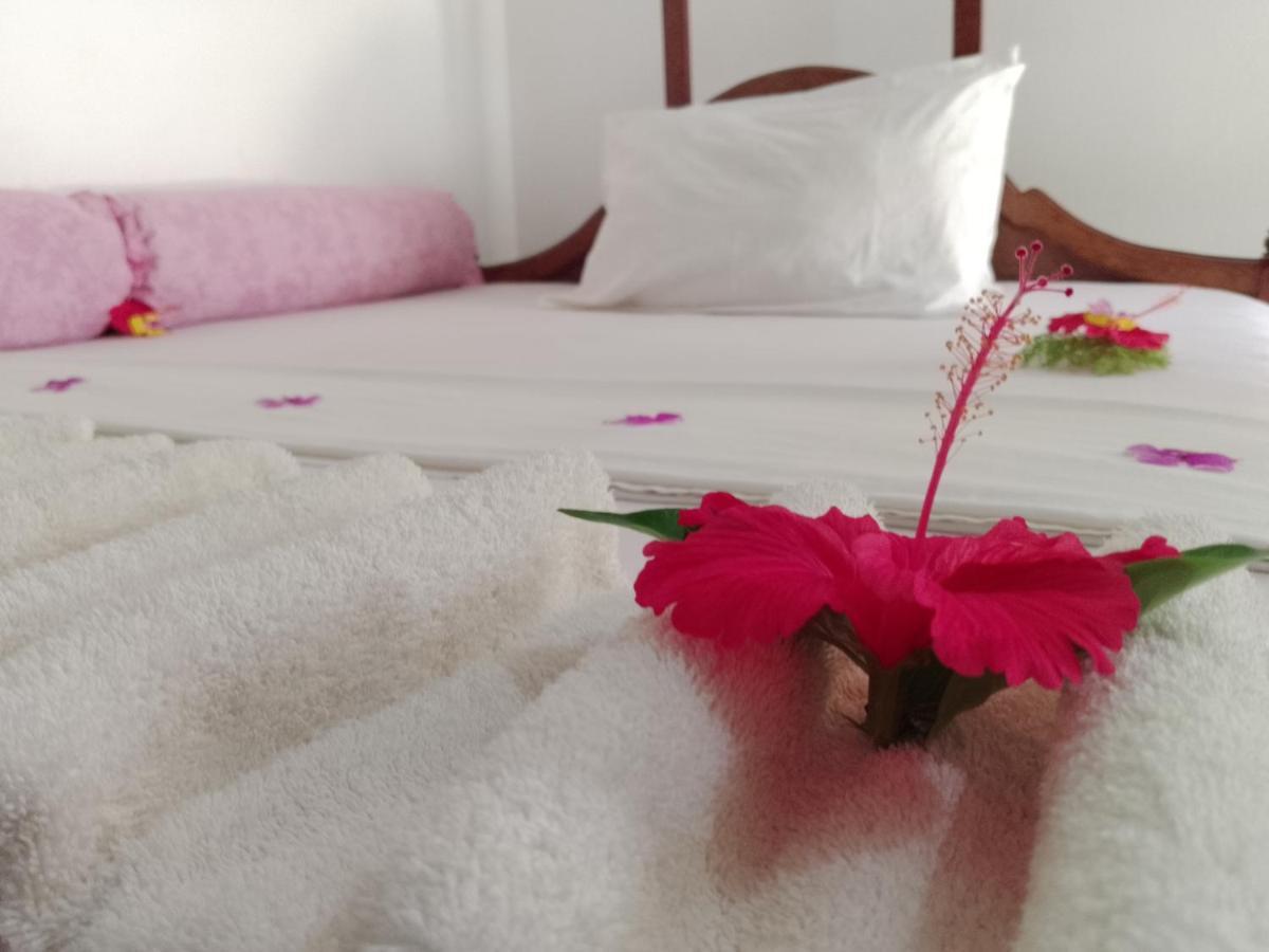 H & H Bungalows Nungwi Eksteriør bilde
